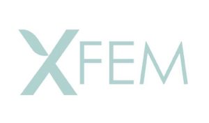 XFEM